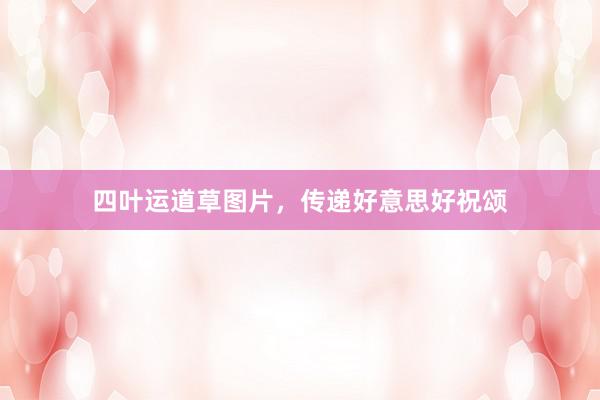 四叶运道草图片，传递好意思好祝颂
