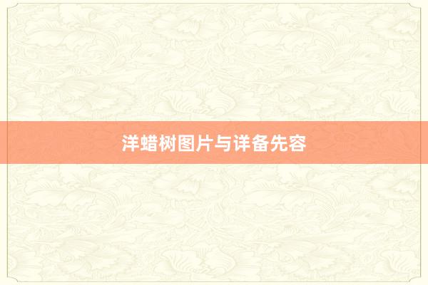 洋蜡树图片与详备先容