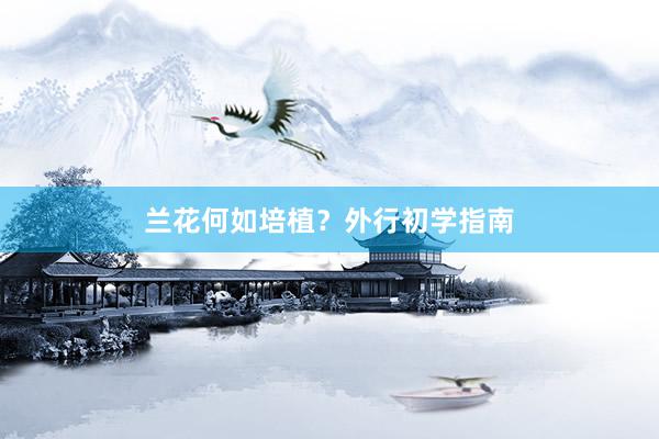 兰花何如培植？外行初学指南